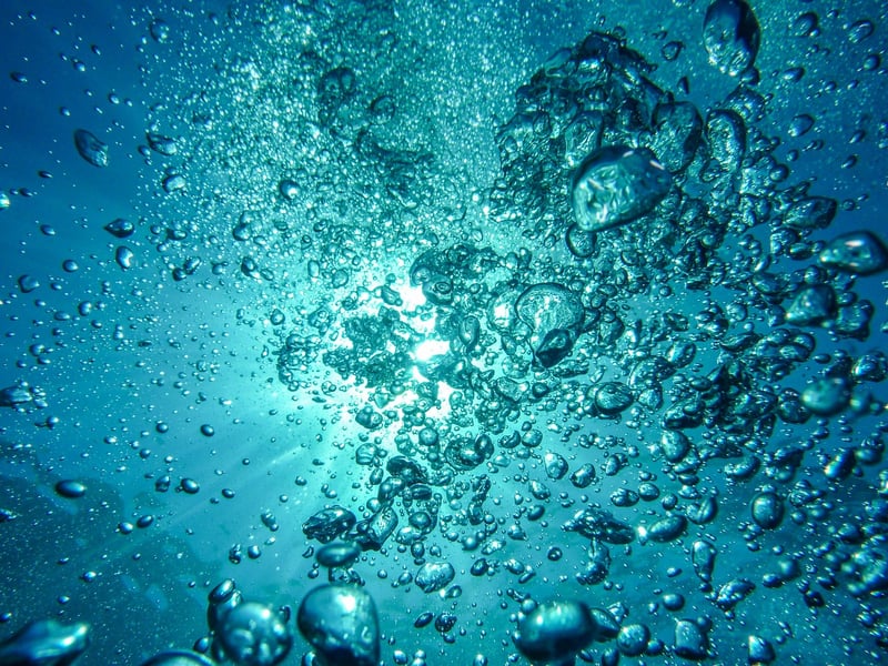 Dive Mask